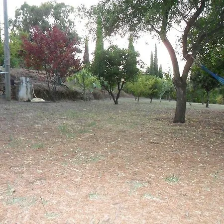 Lentisco Capoliveri (Isola d'Elba)