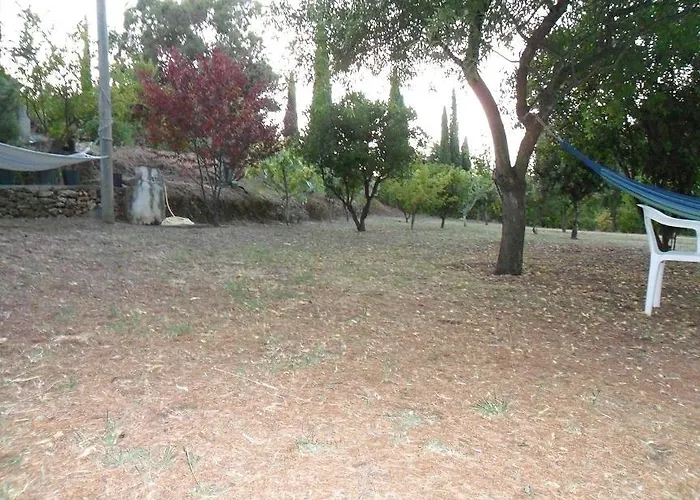 Lentisco Capoliveri (Isola d'Elba)