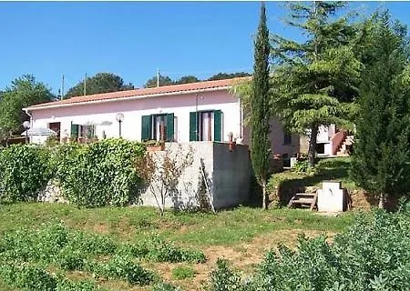 Lentisco * Capoliveri (Isola d'Elba)