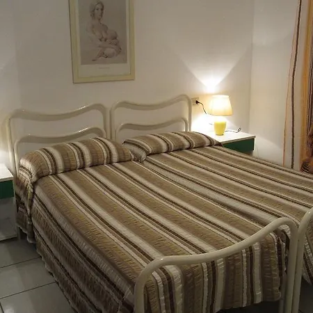 Lentisco 카폴리베리