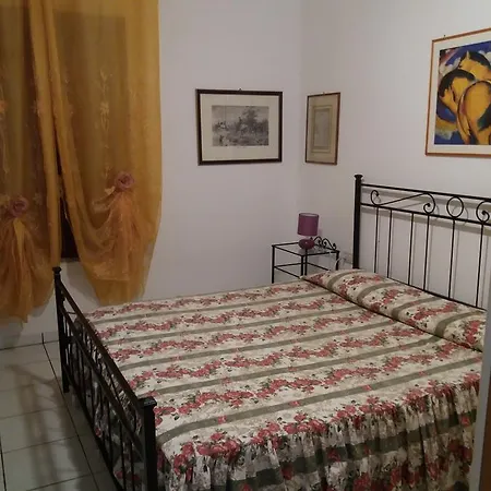 Lentisco 카폴리베리