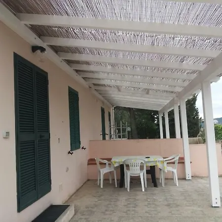 Lentisco * 카폴리베리