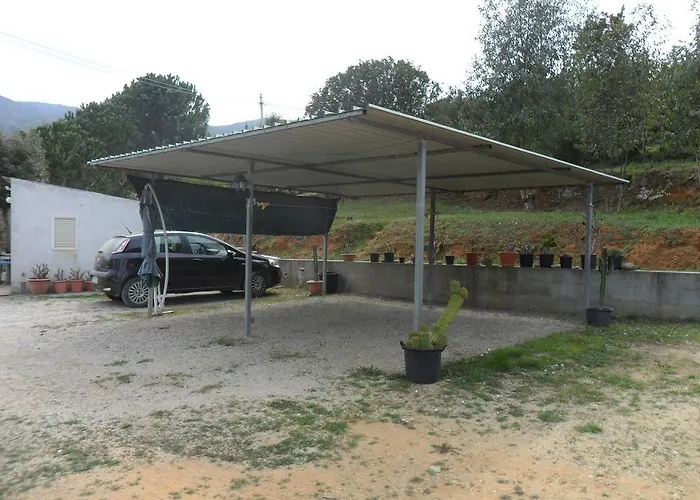 Lentisco 卡波利韦里