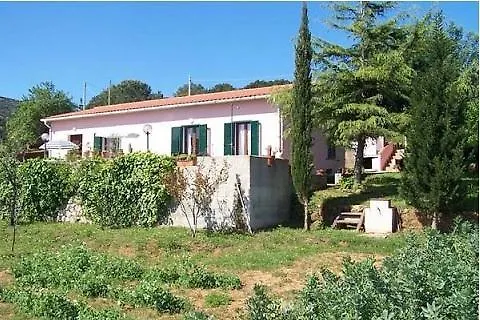 Lentisco * Capoliveri (Isola d'Elba)